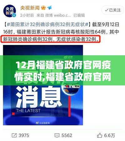 福建省政府官网疫情实时报告，十二月的挑战与应对策略