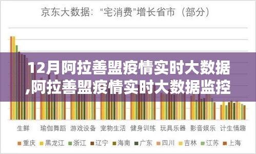 科技赋能下的阿拉善盟疫情实时大数据监控，守护生命之光，12月疫情动态全解析