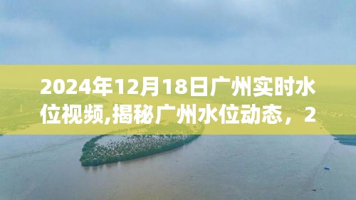 揭秘广州水位动态，实时观察报告与视频记录，2024年12月18日广州水位实时观察报告视频分享