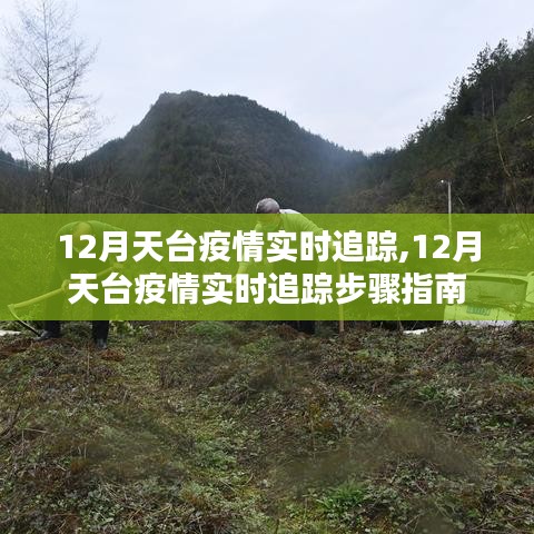 12月天台疫情实时追踪全解析，步骤指南与最新动态