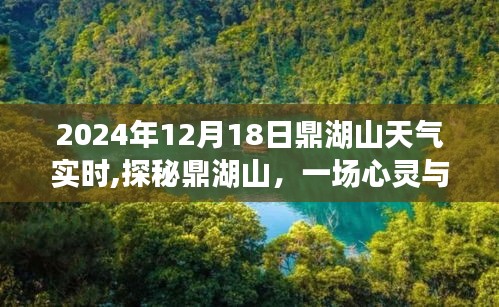 探秘鼎湖山，心灵与自然的邂逅——鼎湖山天气实时播报