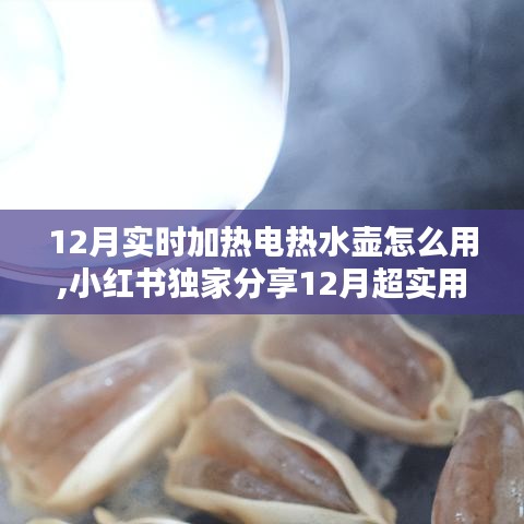 小红书独家分享，冬季电热水壶使用指南，轻松掌握实时加热技巧！