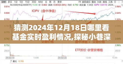 探秘小巷深处的基金盈利宝藏，2024年12月18日基金实时盈利查看指南