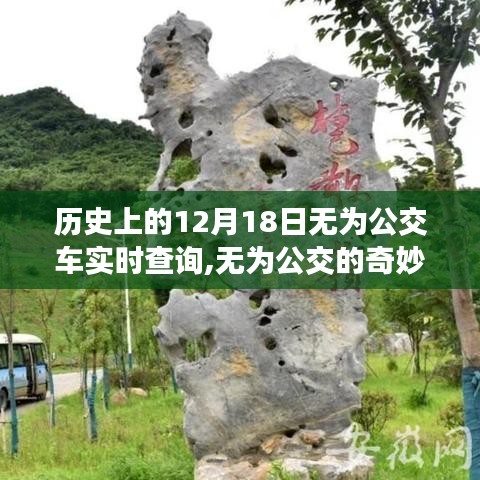 12月18日无为公交的温馨旅程，历史背景与实时查询的奇妙一天