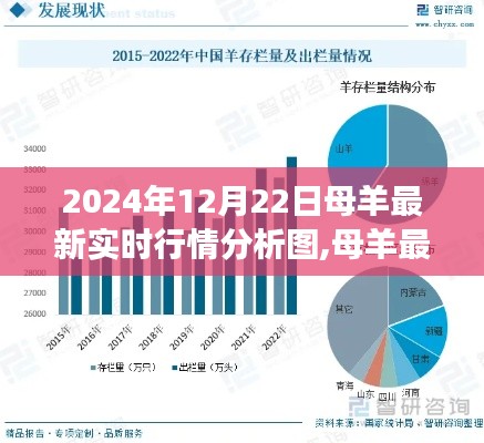 2024年12月22日母羊实时行情分析图，市场洞察与趋势预测