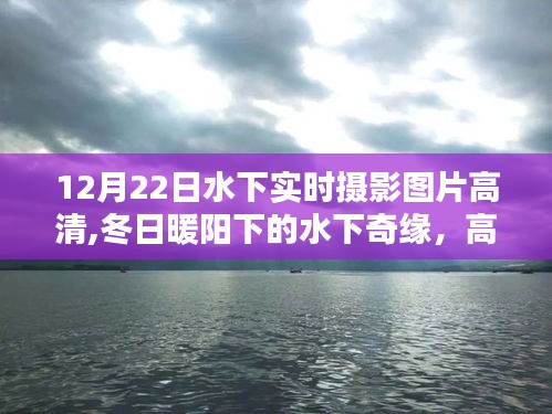 冬日暖阳下的水下奇缘，高清实时摄影记录美好瞬间