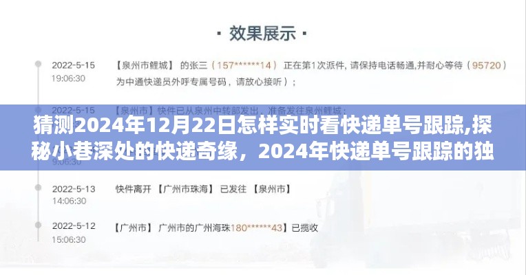 探秘未来快递奇缘，独家体验2024年快递单号跟踪实时追踪与小巷深处的神秘快递故事