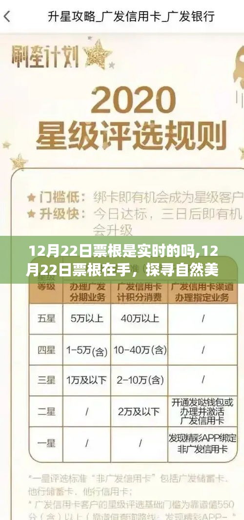 探寻自然美景的实时之旅，12月22日票根在手，启程心灵宁静之地