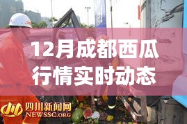 12月成都西瓜行情深度解析，实时动态揭示瓜市风云！