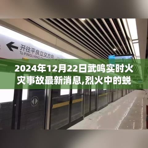 烈火中的蜕变，武鸣火灾事故背后的励志故事