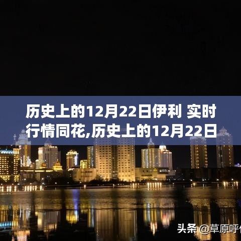 历史上的伊利之旅，探寻自然美景与内心的宁静与平和的12月22日实时行情同花