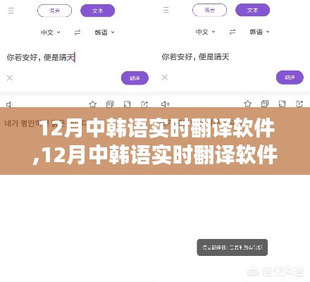 12月中韩语实时翻译软件，全面评测与详细介绍