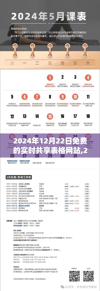 轻松上手实时共享表格网站，初学者与进阶用户指南（2024年12月版）