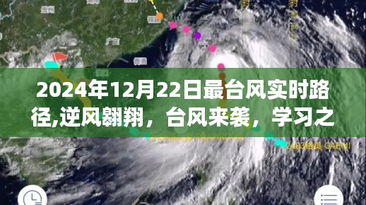 台风来袭下的自信之路，逆风翱翔与成就盛宴