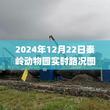 秦岭动物园深度解读，2024年12月22日实时路况图及其影响分析