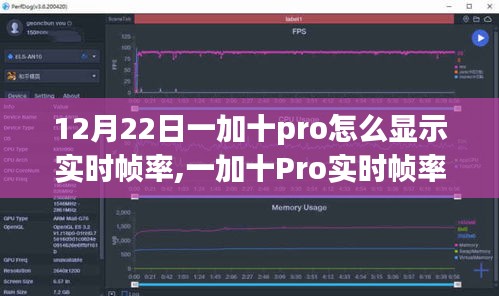 一加十Pro冬至技术盛宴，实时帧率显示功能揭秘