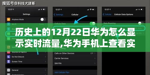 华为手机上查看实时流量的详细步骤指南，历史上的12月22日及版本更新后的实时流量显示功能解析
