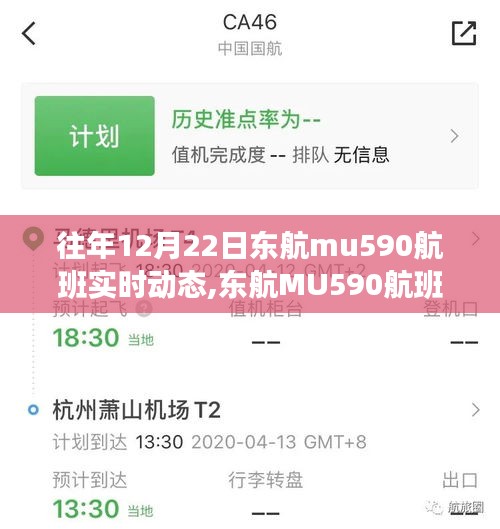 东航MU590航班启示录，自信翱翔人生之旅的蜕变与成长之路