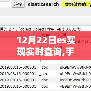 手把手教你如何在12月22日使用Elasticsearch实现实时查询功能