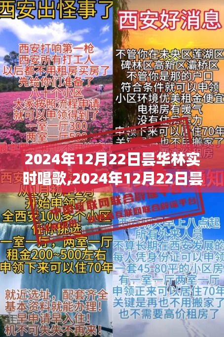 音乐盛宴，昙华林实时唱歌盛典 2024年12月22日