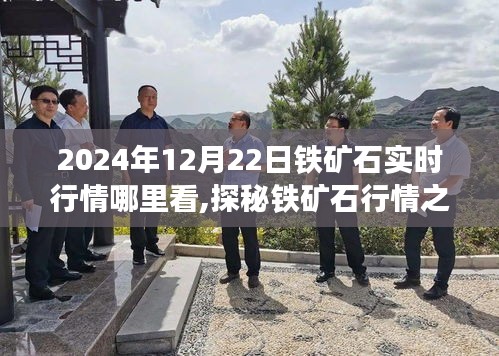 探秘铁矿石行情之旅，实时行情查看与内心平静的奇妙旅程（2024年12月22日）