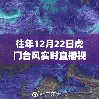 往年12月22日虎门台风实时直播回顾，台风影响与媒体作用的多角度审视视频回放