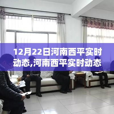 河南西平实时动态深度解析，多元观点下的探析视角