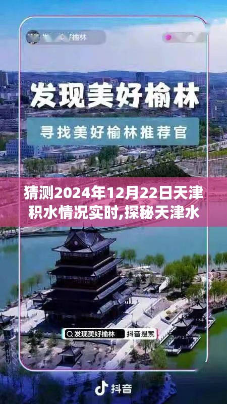 天津水域奇遇记，积水探秘与实时预测，寻找内心平静的旅程（2024年12月22日）