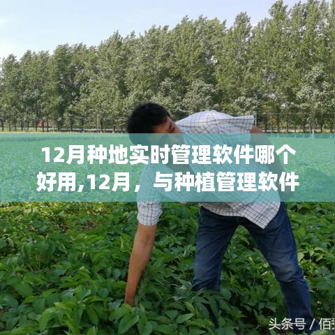 12月种植管理软件推荐，与绿色共舞的日常种植之旅