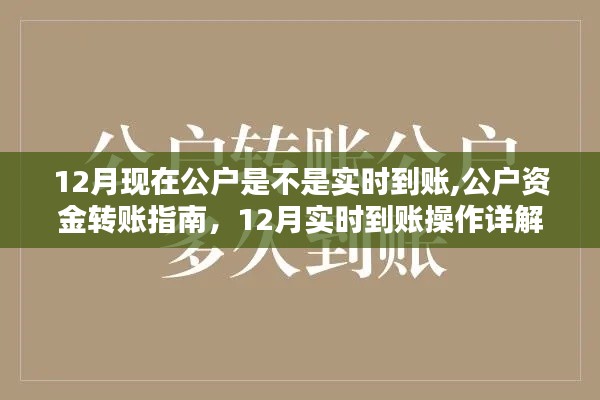 12月公户资金转账实时到账操作详解及指南