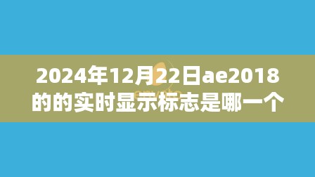 揭秘AE2018实时显示标志，在2024年的表现与用户体验深度评测