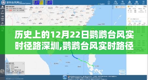 历史上的12月22日鹦鹉台风来袭深圳，全攻略与实时路径追踪详解