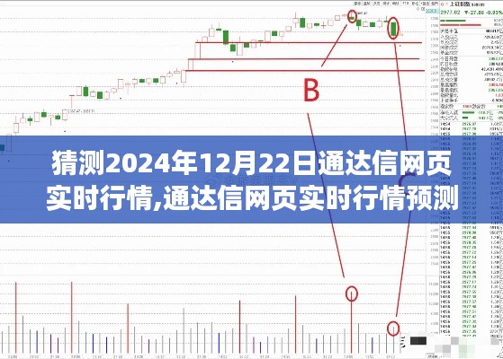 通达信网页实时行情预测与评测，深入解读未来行情展望（2024年12月22日）