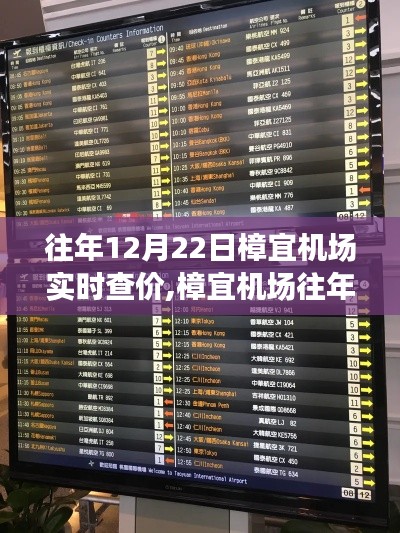 樟宜机场12月22日实时查价探索，飞行成本与选择之旅