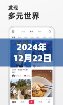 揭秘，小红书上如何实时追踪手机物流动态（以2024年12月22日为例）