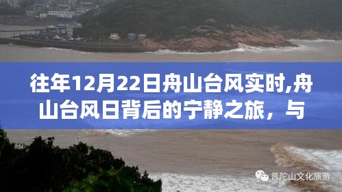 舟山台风日背后的宁静之旅，与自然共舞，探寻平和港湾的台风实时动态