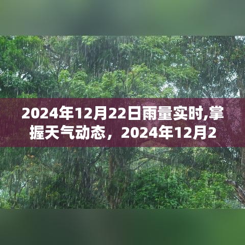 2024年12月22日实时雨量监测详解，掌握天气动态