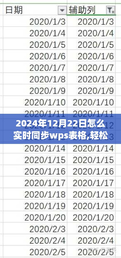 以2024年12月22日为指引，掌握WPS表格实时同步技巧