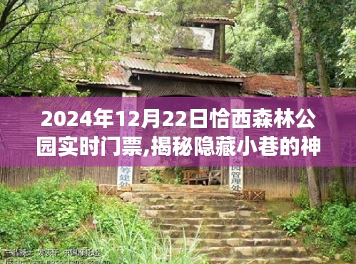 揭秘恰西森林公园隐藏小巷的神秘宝藏，2024年实时门票直通车，遇见别样风景之旅