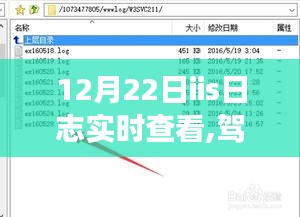 冬至日IIS日志实时查看，驾驭未来的自信与成就感诞生之旅