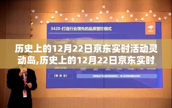 京东灵动岛活动，全面评测与介绍，历史上的12月22日京东实时活动回顾