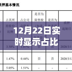 12月22日实时显示占比代码解析，技术观点与个人立场探讨