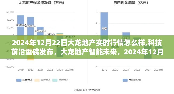 大龙地产智能未来揭秘，2024年12月22日实时行情与智慧生活新纪元体验