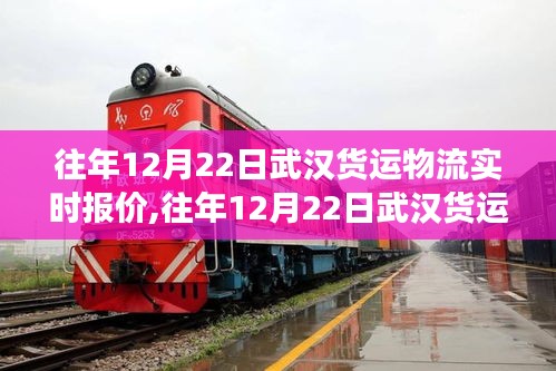 往年12月22日武汉货运物流实时报价深度解析，特性、体验、竞争态势及用户群体分析