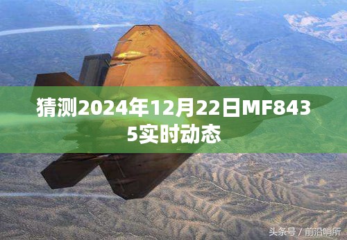 MF8435航班实时动态预测，2024年12月22日更新