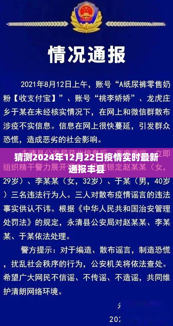 丰县疫情最新实时通报，预测至2024年12月