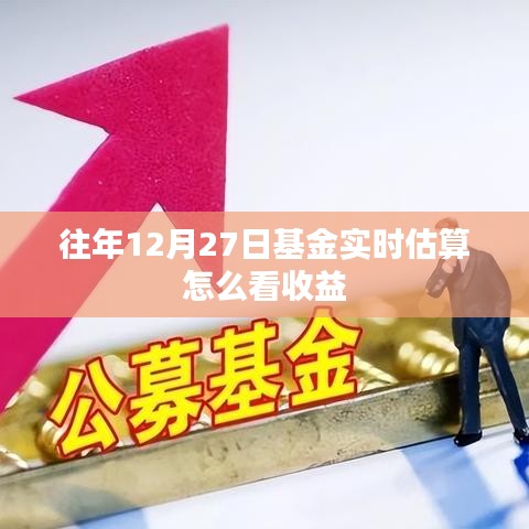 年终基金收益估算指南，如何查看实时收益？