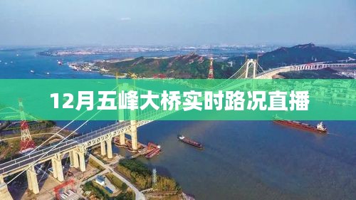 五峰大桥实时路况直播，最新路况动态