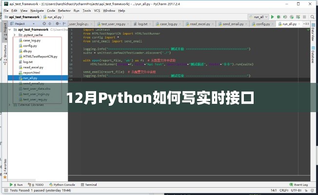 Python实时接口开发指南，12月必备技能