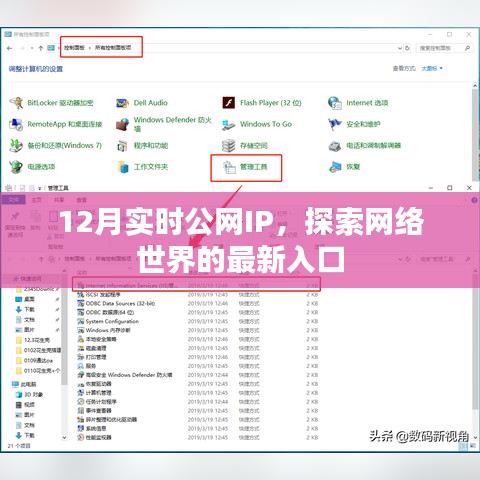 探索网络新入口，最新实时公网IP解析